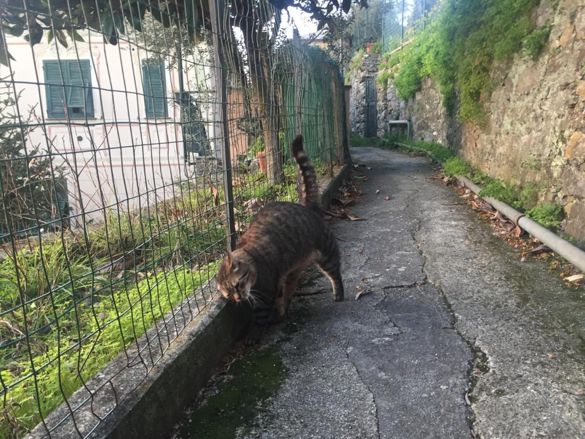 B&B Case Rosse Camogli Exterior photo